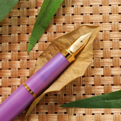 Platinum Biso Fountain Pen - Mystic Purple