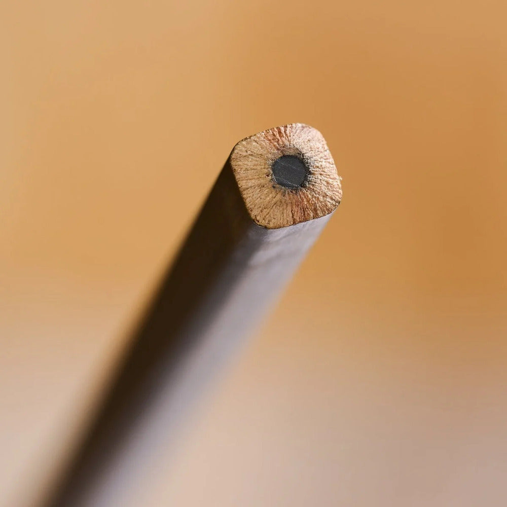 Blackwing Graphite Pencil Volume 21 - Special Edition
