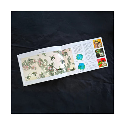 Van Diemans 2025 Boxed Collection