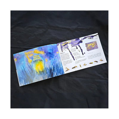 Van Diemans 2025 Boxed Collection