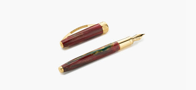 Visconti Van Gogh Fountain Pen - Flowering Plum Orchard