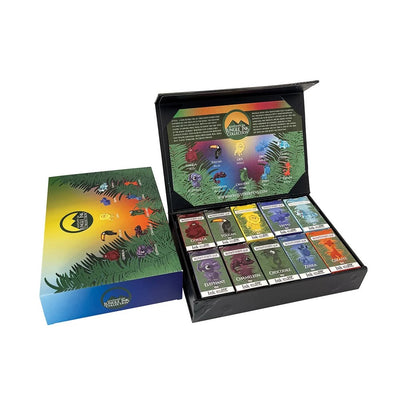 Monteverde Ink Bottle Gift Set (10 X 30ml) - Jungle