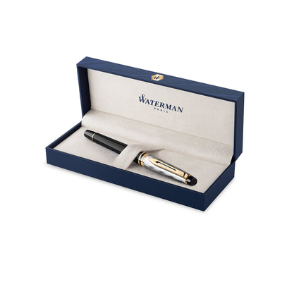 Waterman Expert Deluxe Fountain Pen - Reflections of Paris