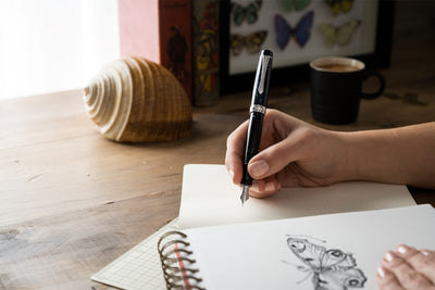 Pilot Custom Heritage SE Fountain Pen - Marble Black