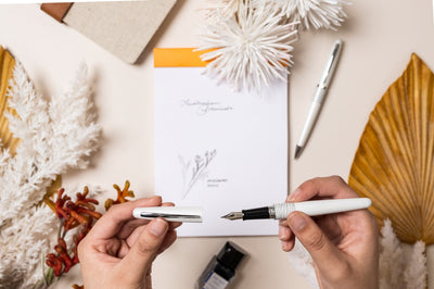 Pilot Metropolitan MR2 Fountain Pen - White Tiger