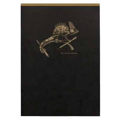 Clairefontaine Flying Spirit Notepad A5 Lined - Black