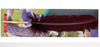 Jacques Herbin Quill with Brause Nb 46B