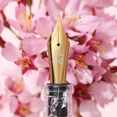 Esterbrook Estie Fountain Pen - BUNGU Box Kachofugetsu Flower
