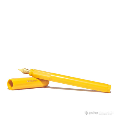 Ferris Wheel Press Harry Potter Ink and Carousel Fountain Pen Set