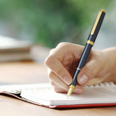 Platinum Biso Fountain Pen - Nebula Black